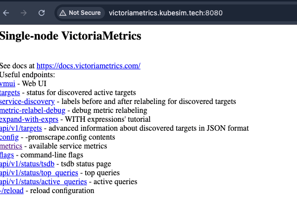 A screenshot of VictoriaMetrics dashboard