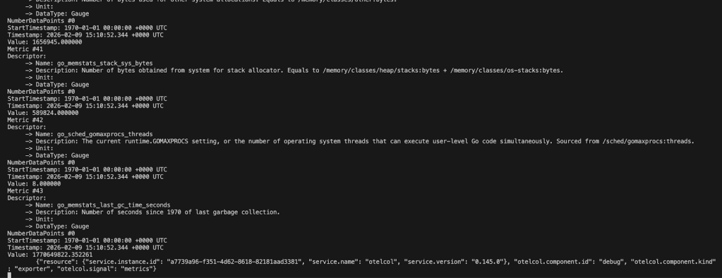 Screenshot of exposed service